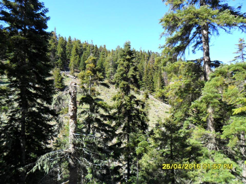 Göksun Yiricek Köyü Resimleri 7