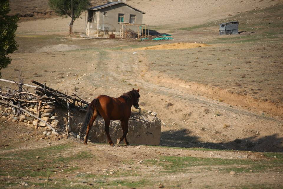 Çayırlı Mirzaoğlu Köyü Resimleri 11