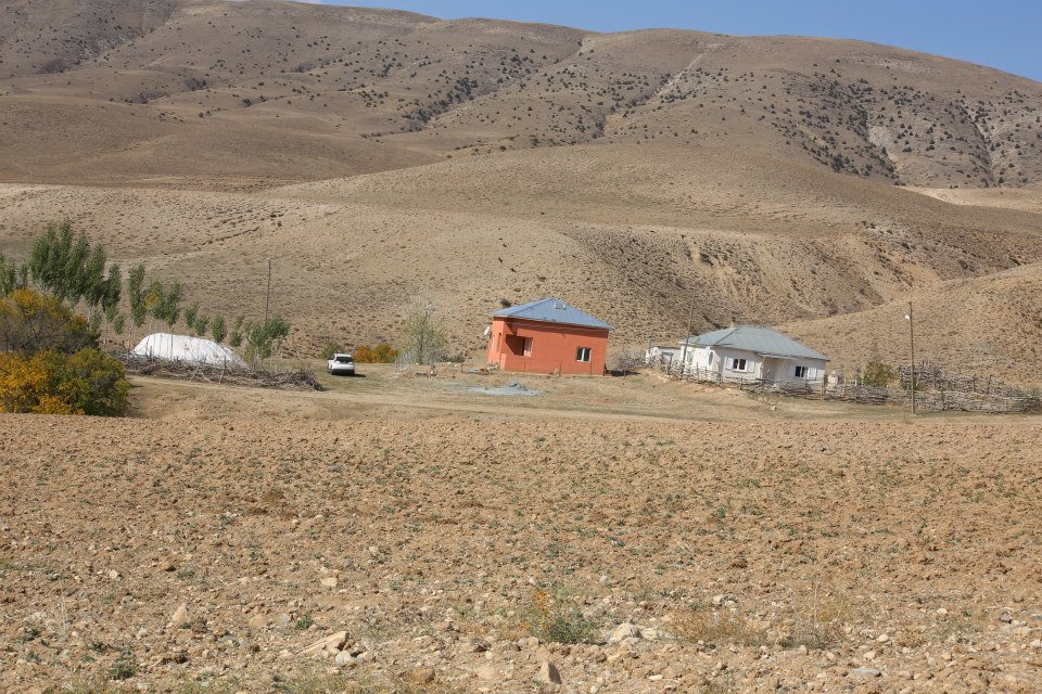 Çayırlı Mirzaoğlu Köyü Resimleri 14