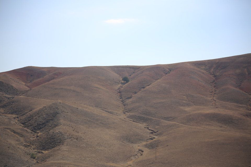 Çayırlı Mirzaoğlu Köyü Resimleri 5