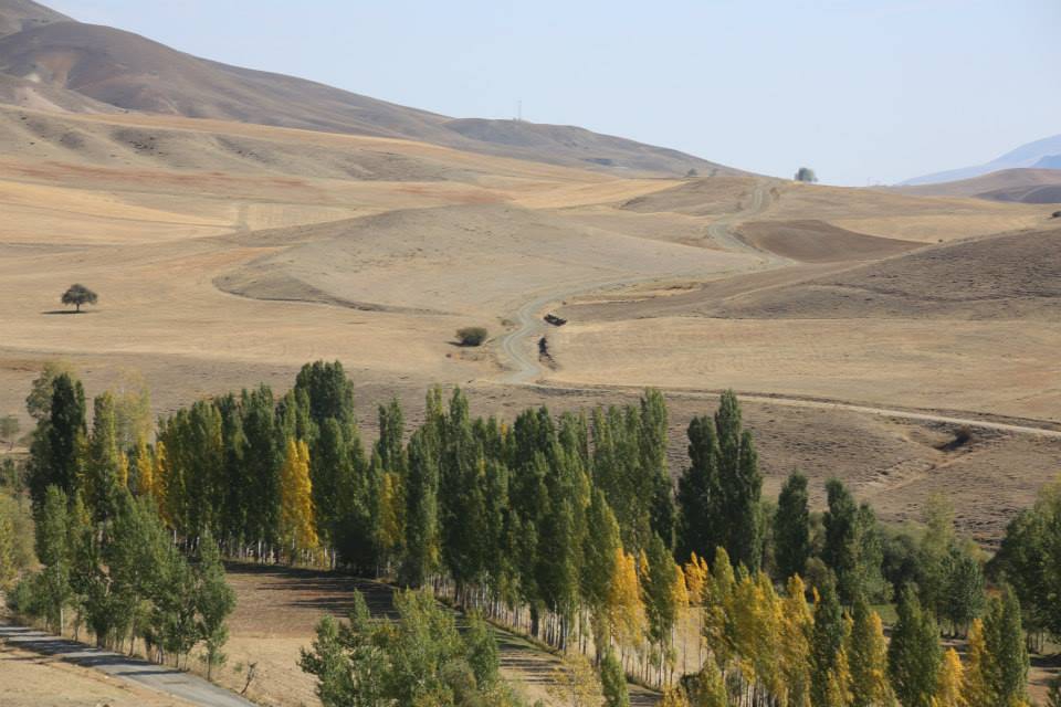 Çayırlı Mirzaoğlu Köyü Resimleri 6