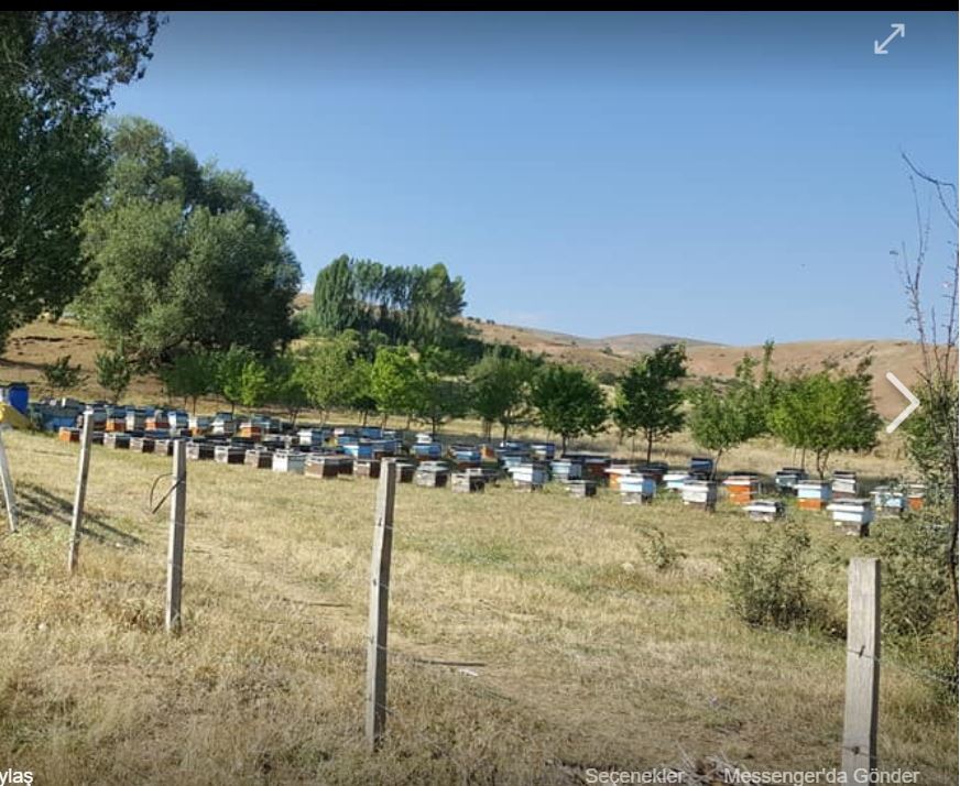 Çayırlı Oğultaşı Köyü Resimleri 1