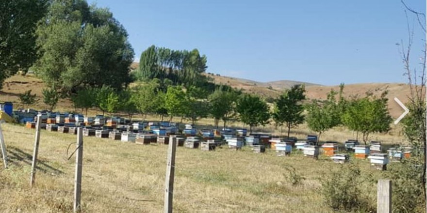 Çayırlı Oğultaşı Köyü Resimleri