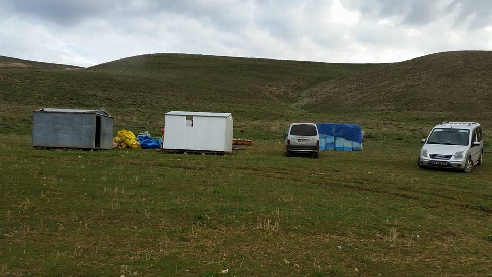 Çayırlı Sarıgüney Köyü Resimleri 1