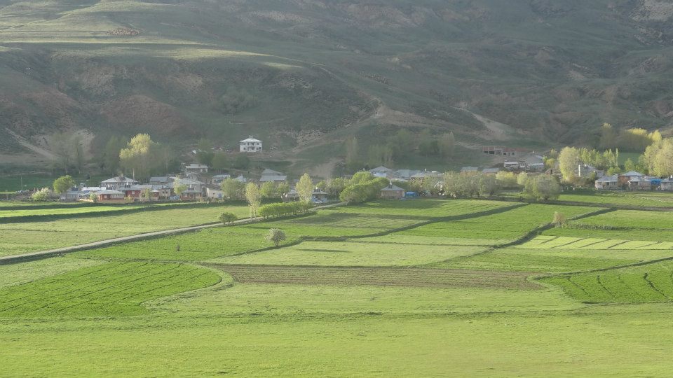 Çayırlı Sarıgüney Köyü Resimleri 2