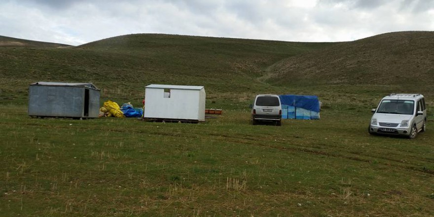 Çayırlı Sarıgüney Köyü Resimleri