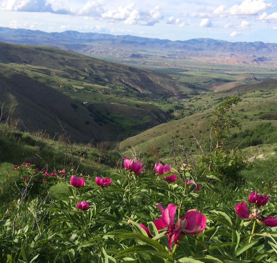 Çayırlı Toprakkale Köyü Resimleri 1