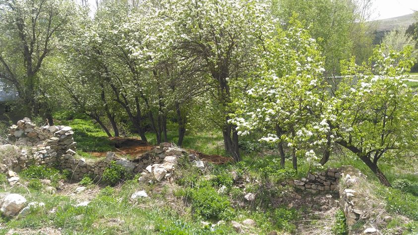 Çayırlı Toprakkale Köyü Resimleri 5
