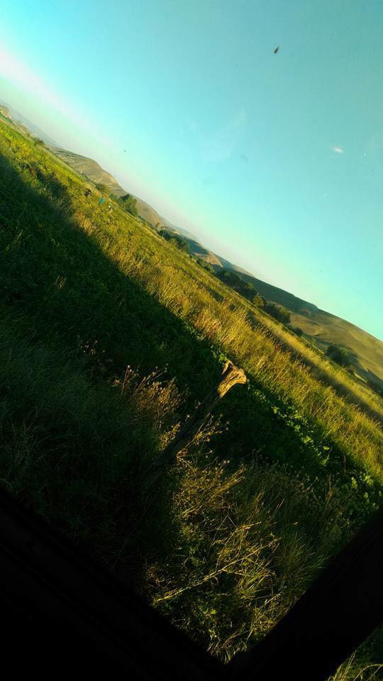 Çayırlı Verimli Köyü Resimleri 19