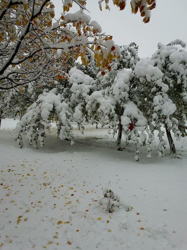 Çayırlı Verimli Köyü Resimleri 27