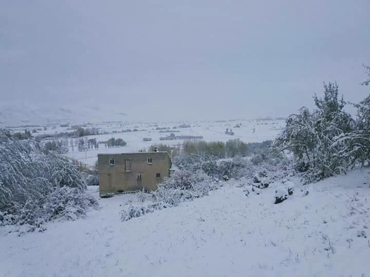 Çayırlı Verimli Köyü Resimleri 4