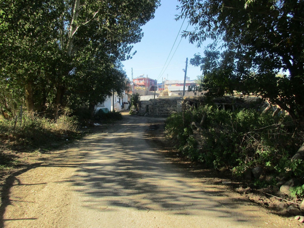 Çayırlı Yaylakent Köyü Resimleri 13