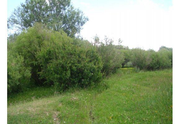 Çayırlı Yaylakent Köyü Resimleri 9