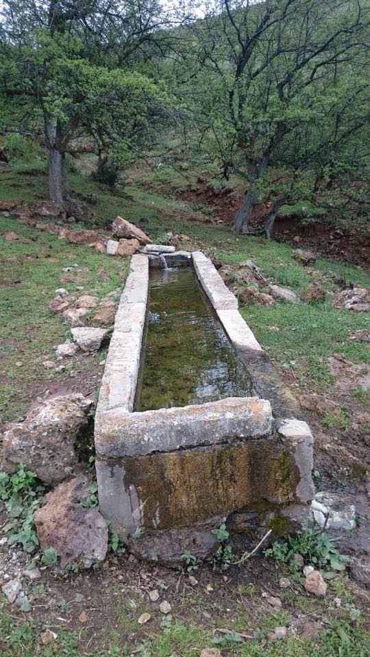Çayırlı Yukarıçamurdere Köyü Resimleri 6