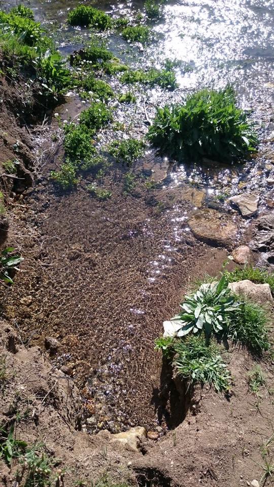 Çayırlı Yukarıçamurdere Köyü Resimleri 7