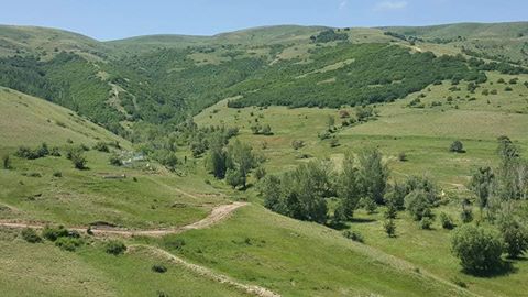 Çayırlı Yukarıkartallı Köyü Resimleri 10