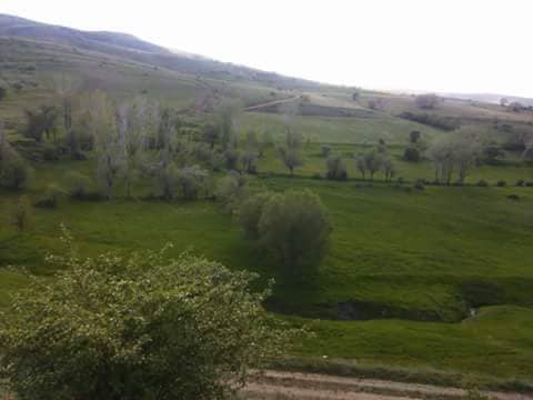 Çayırlı Yukarıkartallı Köyü Resimleri 11