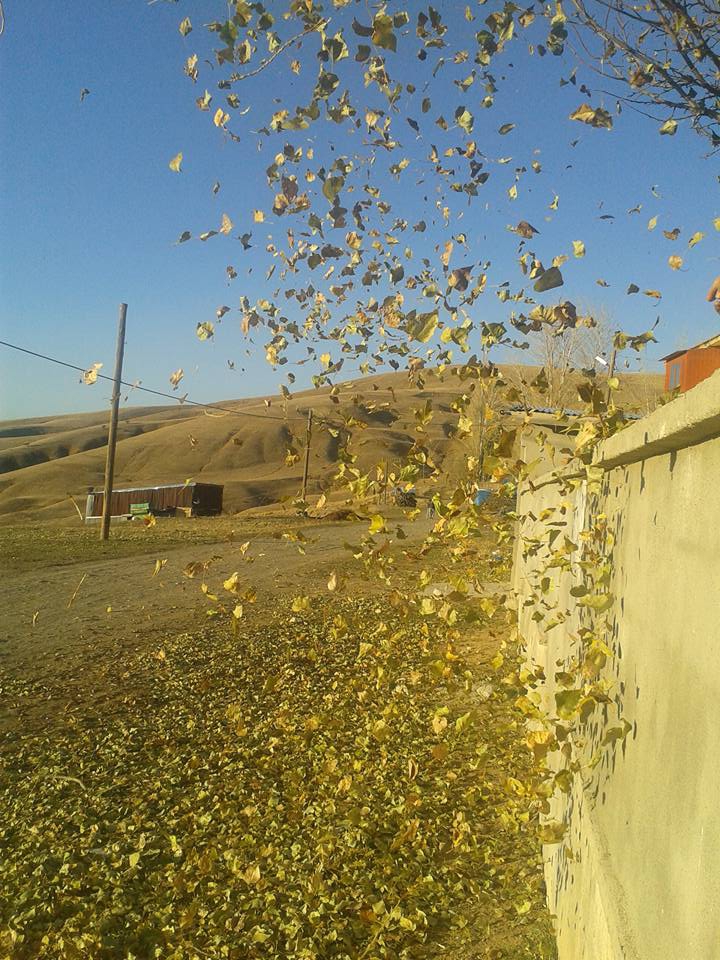 Çayırlı Yukarıkartallı Köyü Resimleri 7