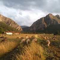 Antakya Emek Köyü Resimleri 1
