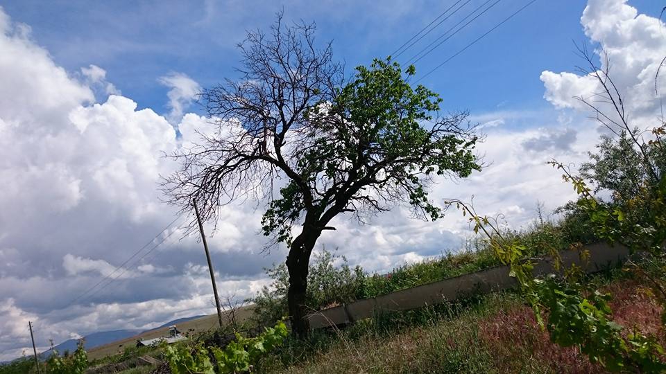 Elazığ Ballıca Köyü Resimleri 2