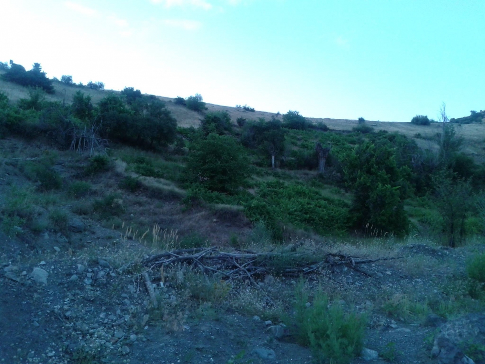 İliç Ağıldere Köyü Resimleri 8