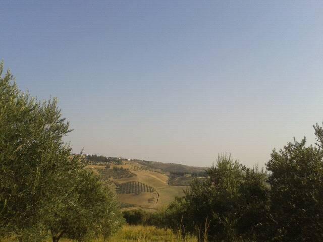 Antakya Gökçegöz Köyü Resimleri 1