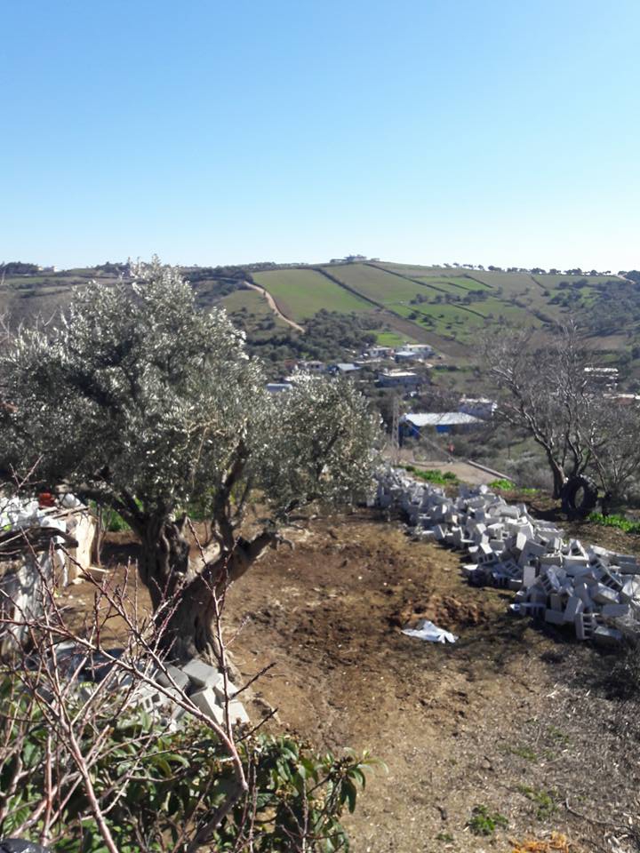 Antakya Gökçegöz Köyü Resimleri 4