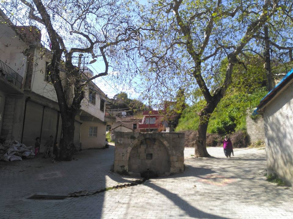 Antakya Gökçegöz Köyü Resimleri 6