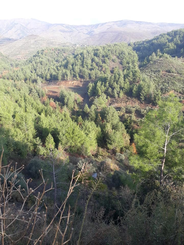 Antakya Gülderen Köyü Resimleri 1