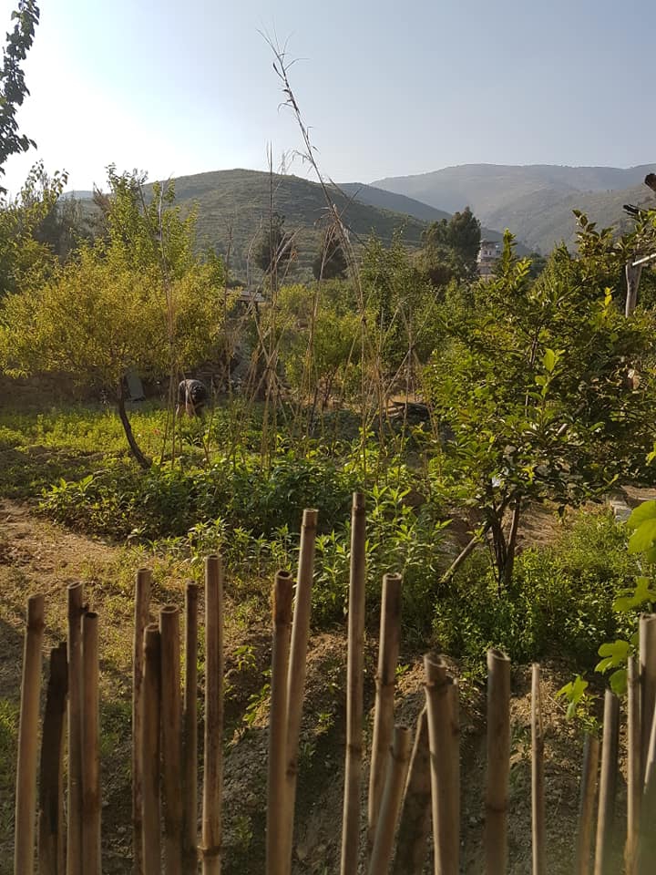 Antakya Gülderen Köyü Resimleri 3