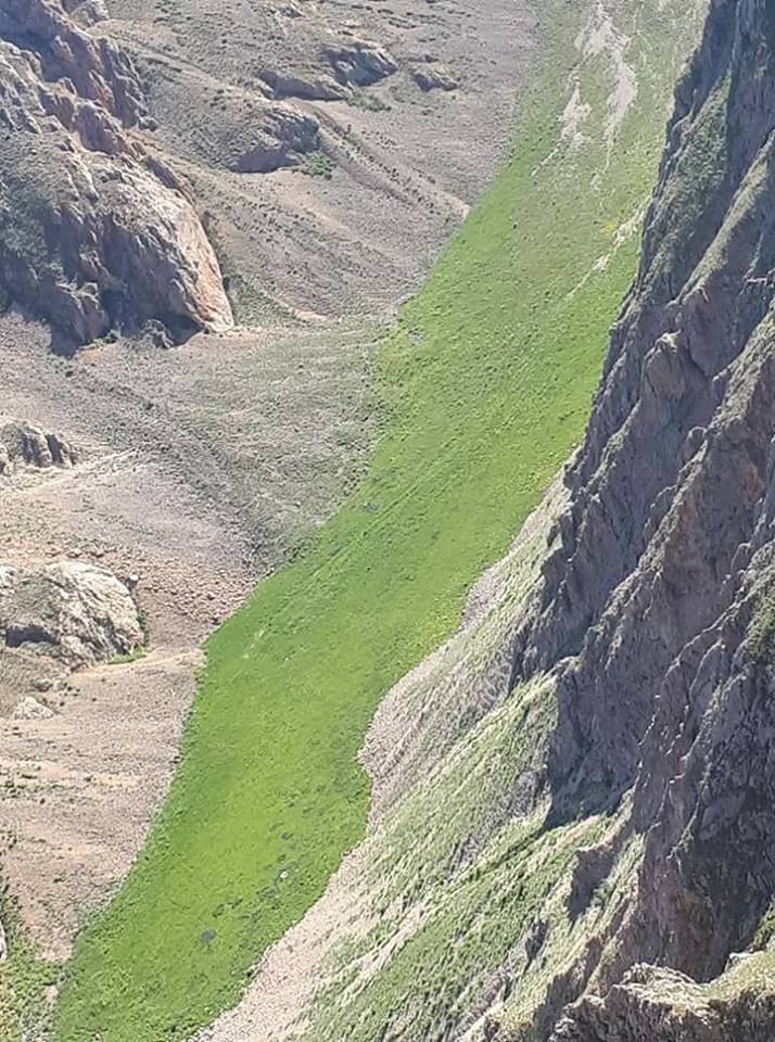 İliç Akdoğu Köyü Resimleri 1
