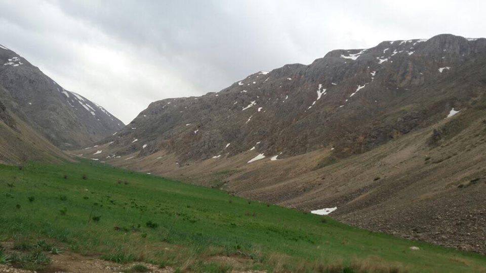 İliç Akdoğu Köyü Resimleri 2