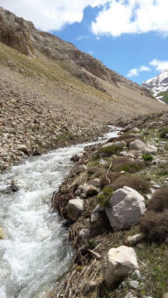 İliç Akdoğu Köyü Resimleri 3