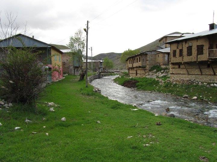 İliç Akdoğu Köyü Resimleri 4