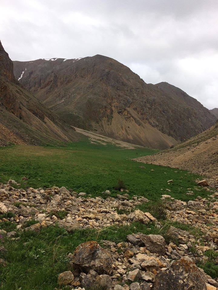 İliç Akdoğu Köyü Resimleri 5