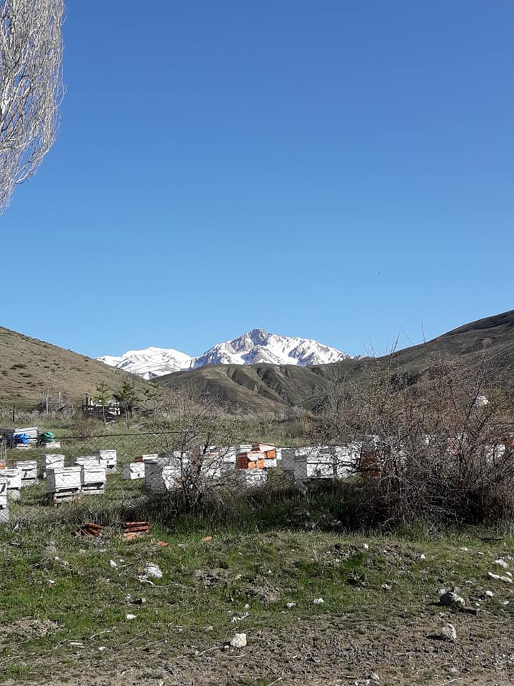 İliç Akdoğu Köyü Resimleri 7