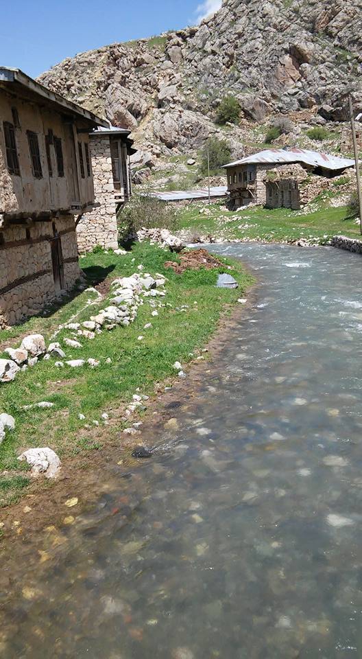 İliç Akdoğu Köyü Resimleri 8