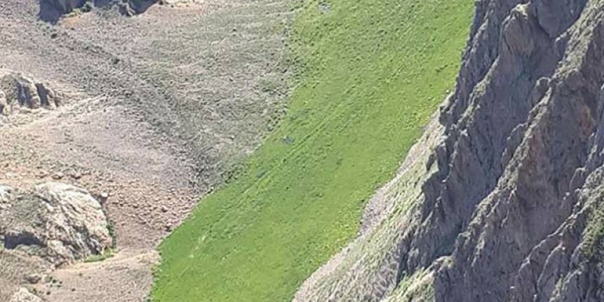 İliç Akdoğu Köyü Resimleri