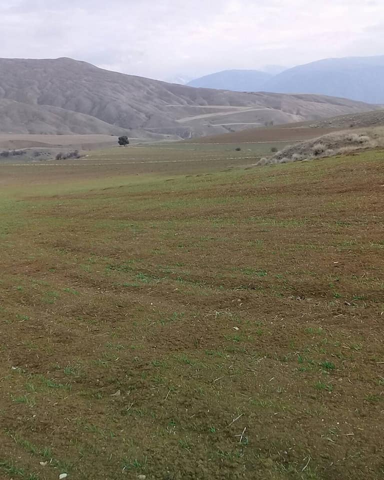 İliç Altıntaş Köyü Resimleri 8