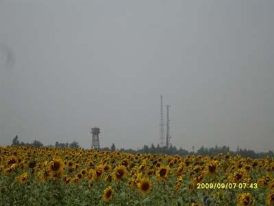 Adana Kozan Yüksekören Köyü Resimleri 11