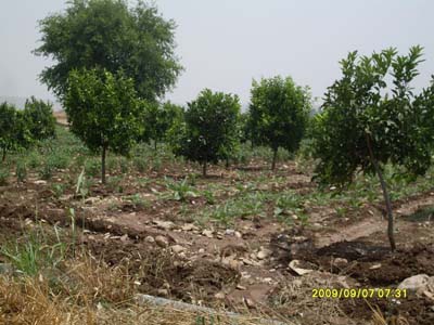 Adana Kozan Yüksekören Köyü Resimleri 12