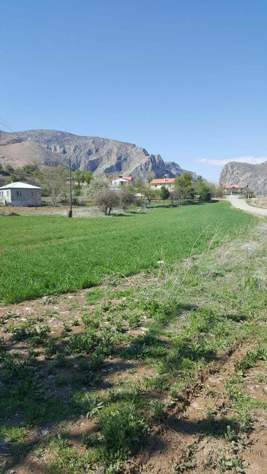 İliç Bağıştaş Köyü Resimleri 13