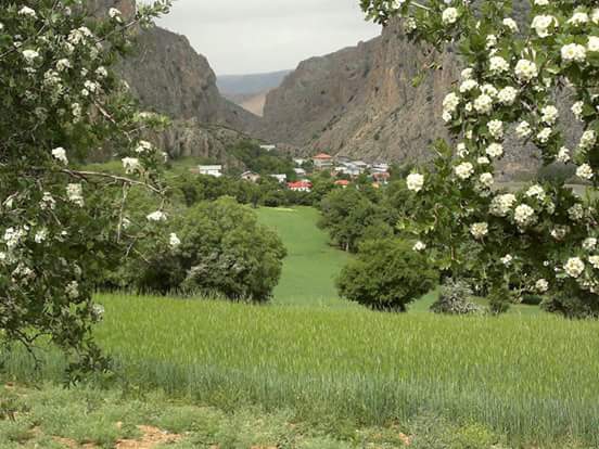 İliç Bağıştaş Köyü Resimleri 8