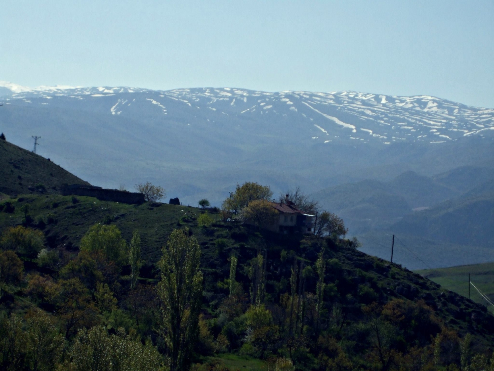 İliç Bağlıca Köyü Resimleri 10