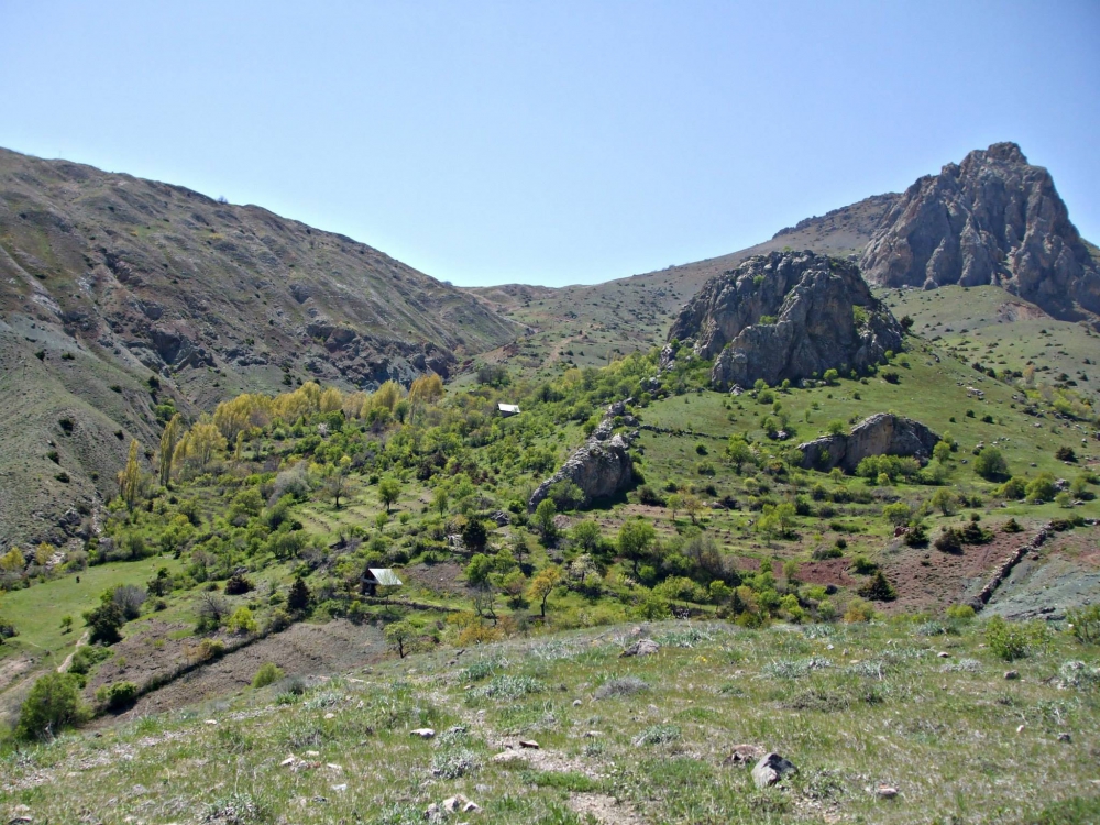 İliç Bağlıca Köyü Resimleri 14