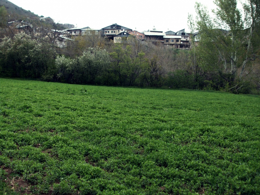 İliç Bağlıca Köyü Resimleri 18