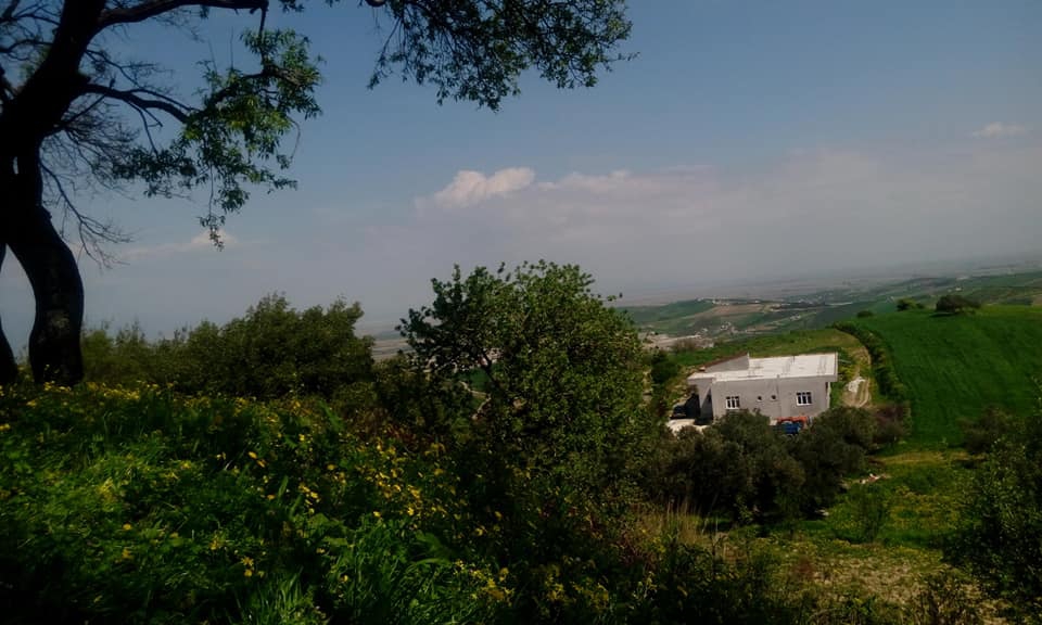 Antakya Mansurlu Köyü Resimleri 1