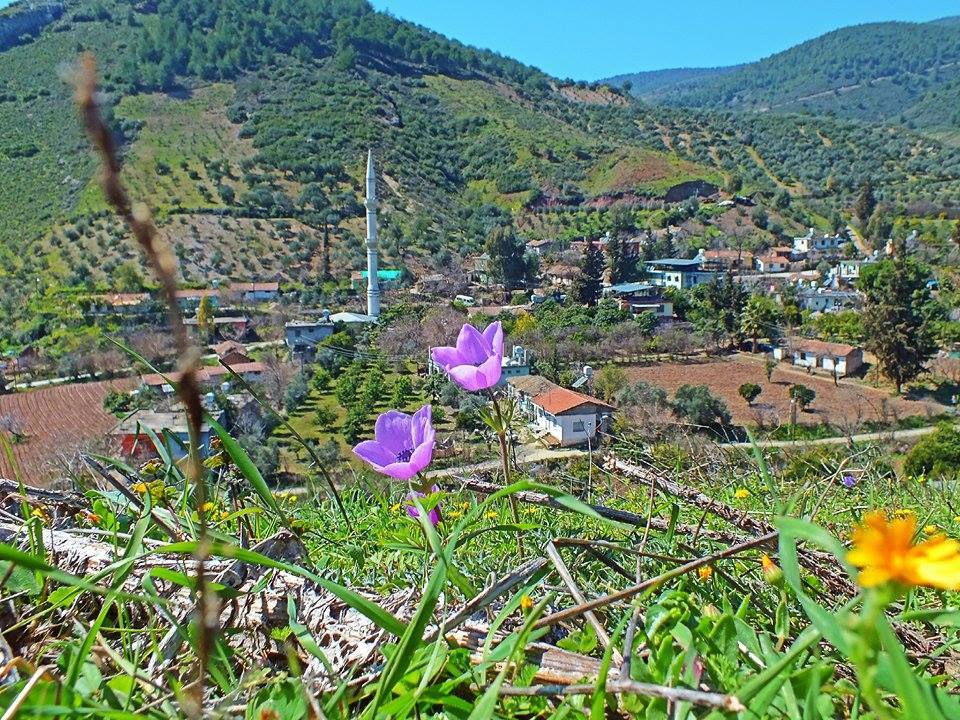 Antakya Maraşboğazı Köyü Resimleri 1