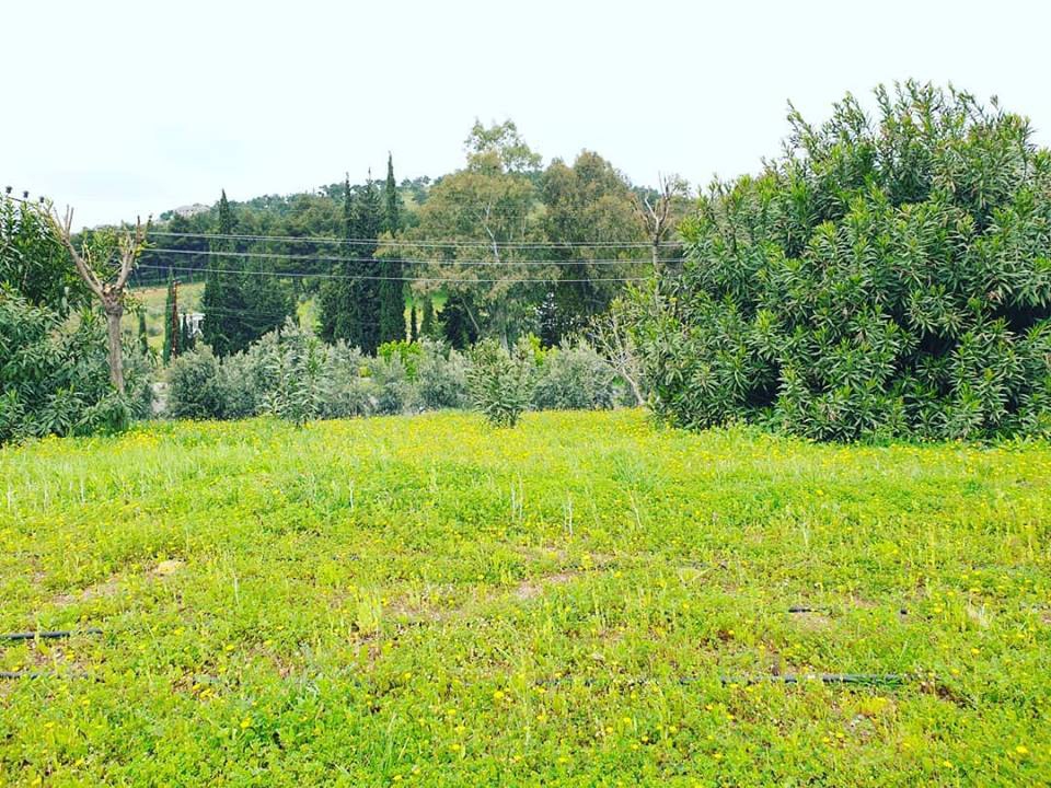 Antakya Maraşboğazı Köyü Resimleri 2