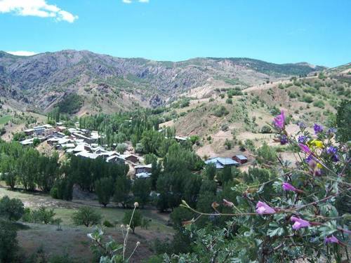 İliç Balkaya Köyü Resimleri 3